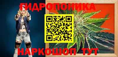 крисы Волгодонск