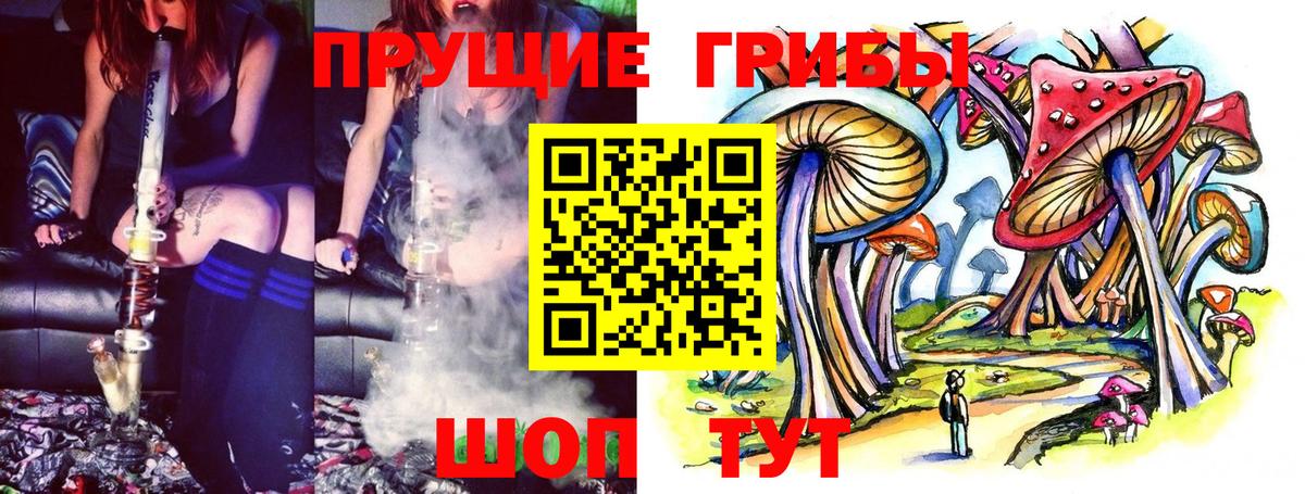 Псилоцибиновые грибы мухоморы  хочу наркоту  Лабинск  Псилоцибиновые грибы Cubensis 